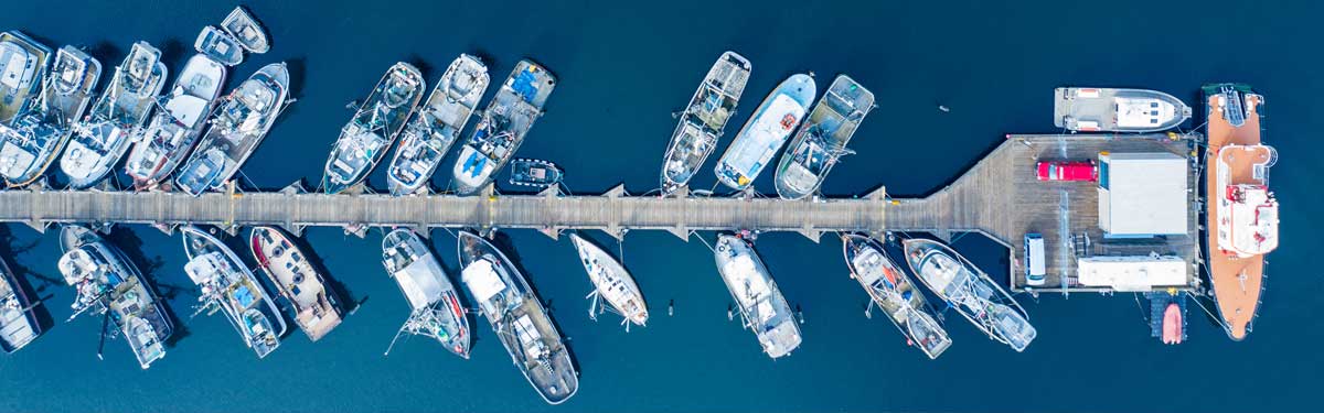 A row of fishing boats tied up at Fishermen's Terminal