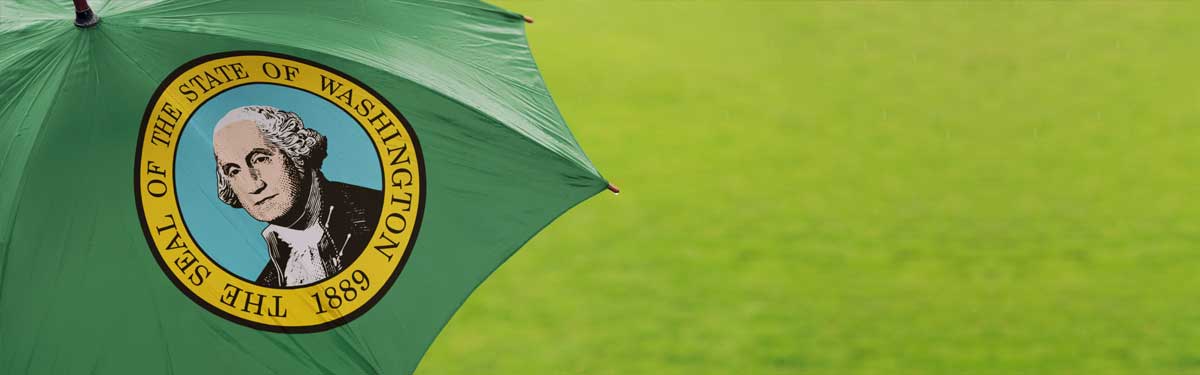 An open green umbrella with the Washington State flag logo on it.